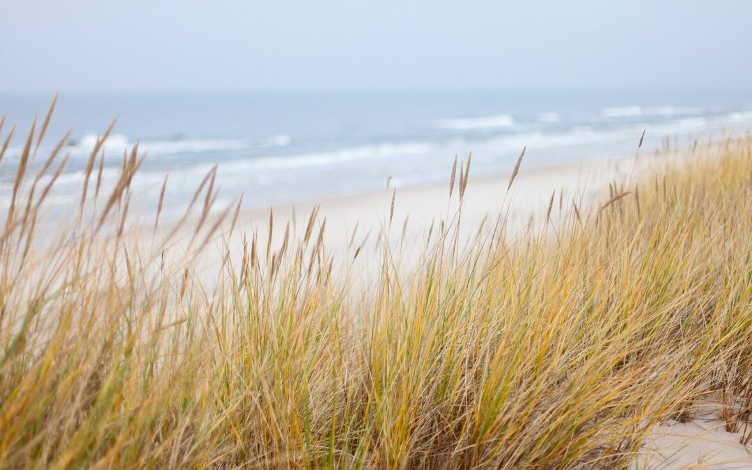 Sommerfreizeitfahrt an die polnische Ostsee