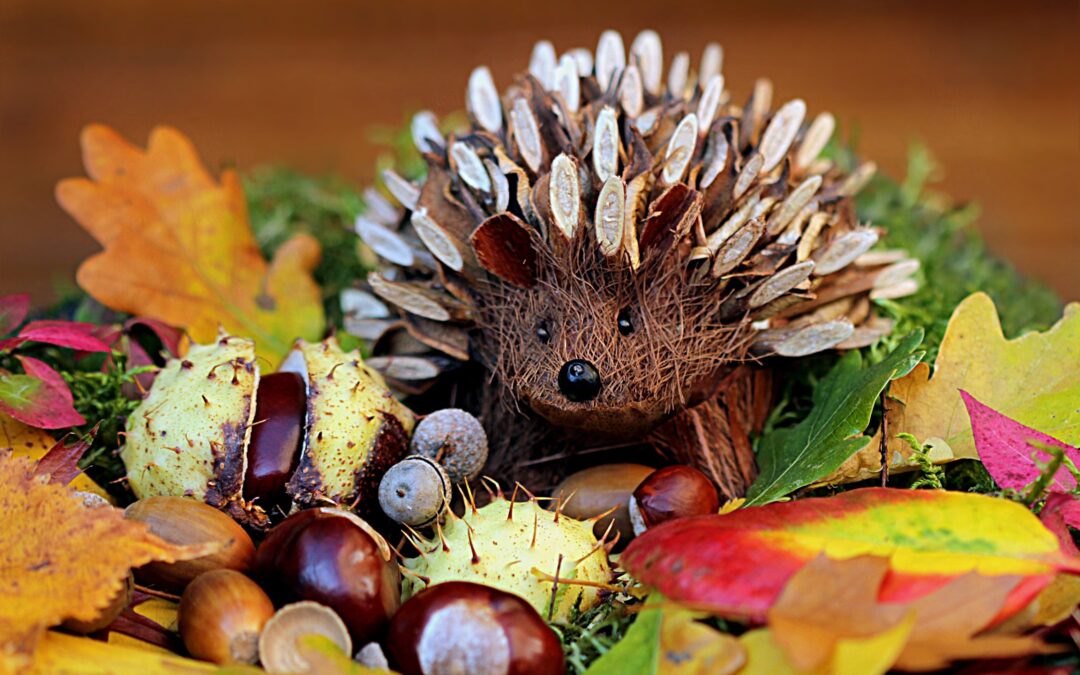 Herbstferienprogramm